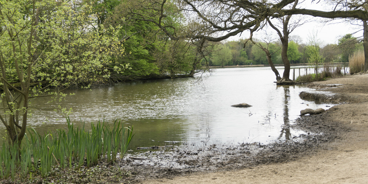 London Epping Forest