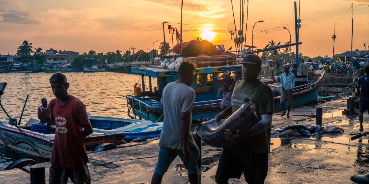 Sri Lanka fish market