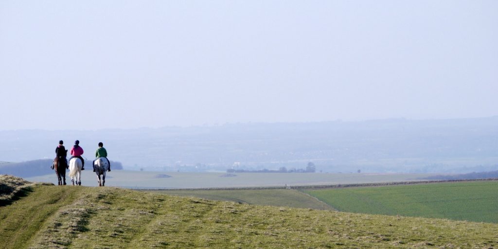 3 people horse riding, standing on a low hill in a country side landscape