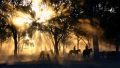 Feature Image of Horse Riding Paradise article, sunset in forest with people horse riding
