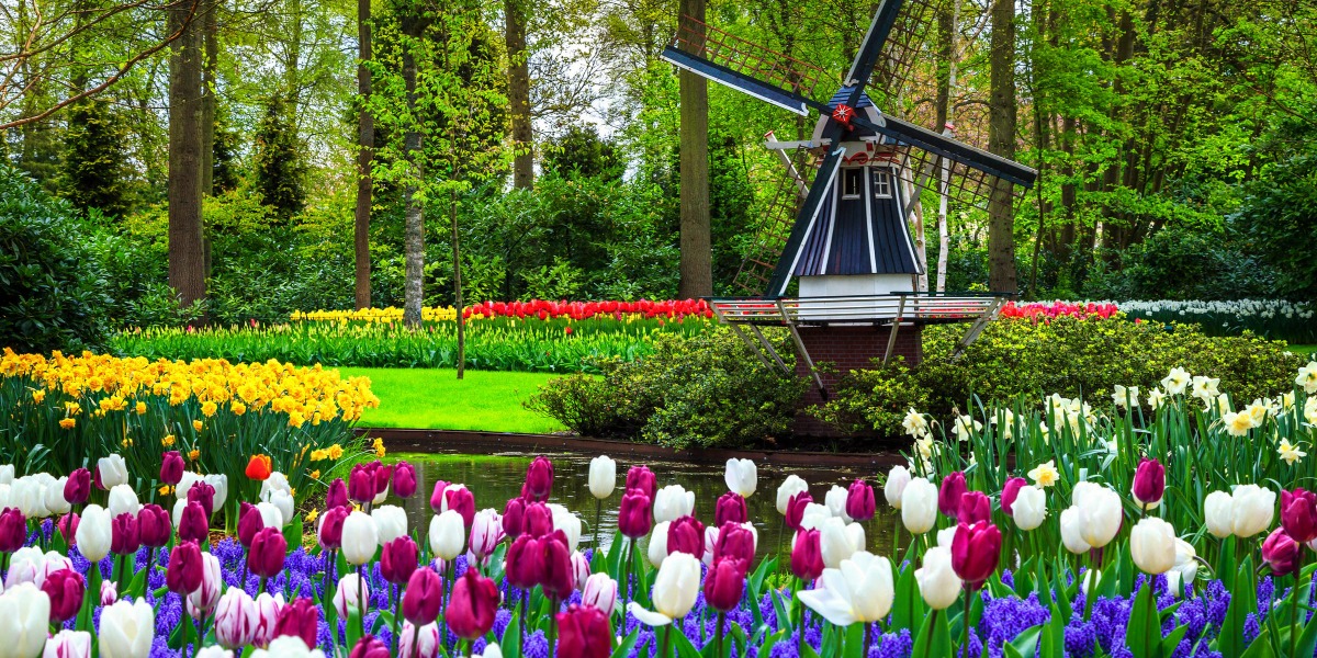 Keukenhof Gardens: The Complete Guide for a Blooming Dutch Adventure